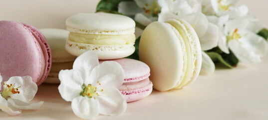 French cookies macaroons and apple blossoms flowers close up on beige background banner. copy space. pastel colors