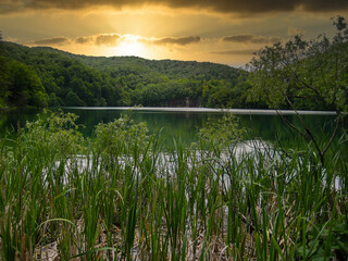 wonderful lake in the middle of the forest in summertime