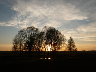 Fototapeta na wymiar Sun setting behind trees, Krępiec, Poland
