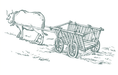 Empty cart drawn by oxen. Vector drawing - obrazy, fototapety, plakaty