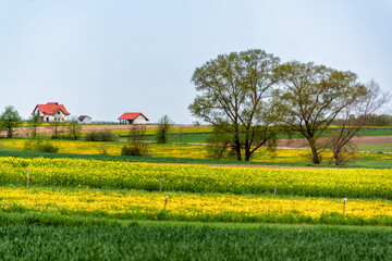  Piękna wiosna na Podlasiu, Polska