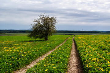  Piękna wiosna na Podlasiu, Polska