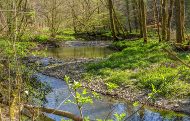 River Kupfer at spring time