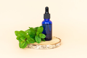 Peppermint leaves and essence dropper bottle on pink background. Copy space.