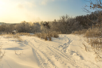 Obraz premium path in the snow