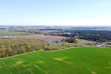 Aerial view of the summer landscape with green fields and meadows