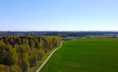 Aerial view of the summer landscape with green fields and meadows