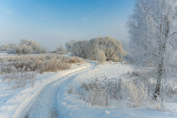 winter landscape with snow