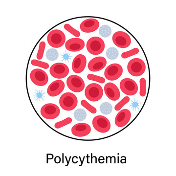 Blood structure concept
