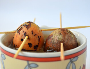   Avocado seed in a mug on a white background. Growing from seed. Isolate  