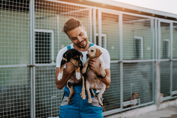 Young handsome adult male worker in animal shelter holding adorable dogs.. - obrazy, fototapety, plakaty