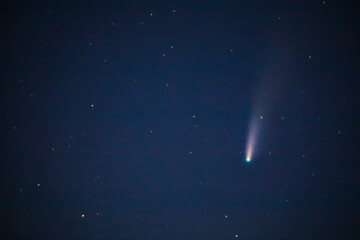 Komet Neowise