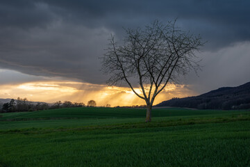 Fototapeta na wymiar Country landscape in sunshine in Germany