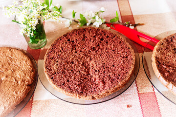 An air biscuit. Very tasty chocolate biscuit close-up.