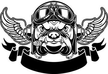 dog with Leather Flying Helmet and goggles