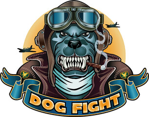 dog with Leather Flying Helmet and goggles