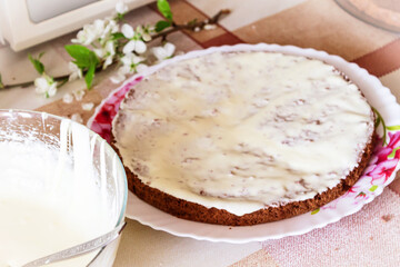 It s a delicious dessert. Chocolate biscuit smeared with cream close-up.