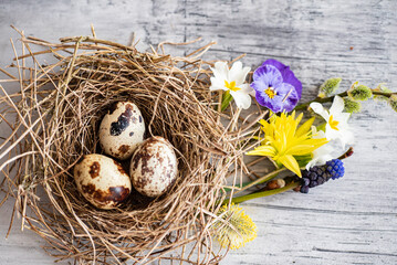 Easter nest with spring flowers