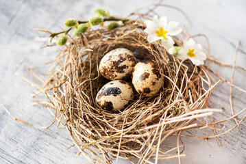 Easter nest with spring flowers