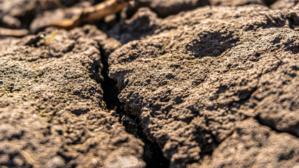 dry ground close up