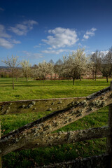 Paysage campagne 856