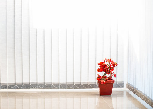 Foto de una maseta roja, sobre fondo blanco, ambiente decorativo.
