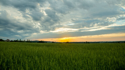 Landscape of Green Field and Beautiful Sunset