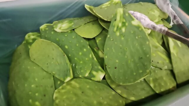 Mexican food sliced cactus to eat supermarket Mexico green texture.