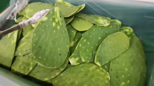 Mexican food sliced cactus to eat supermarket Mexico green texture.