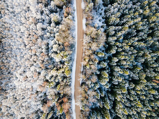 Drone top view of frozen winter forest and sandy country road