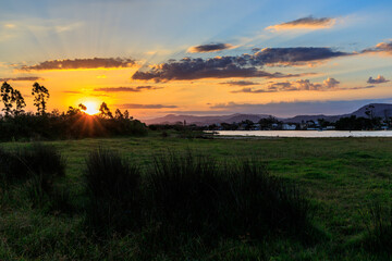 sunset over the field