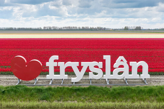 Large Love Frysl&acirc;n sign near Oudebildtzijl The Netherlands in front of a tulip field. The heart form is shaped like a water lily leaf or pompebl&ecirc;d as used in the Frisian flag.