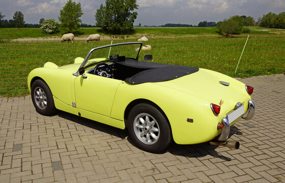 Healy Bilder Durchsuchen 910 Archivfotos, und Videos