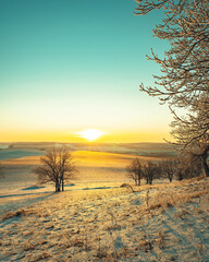 Fototapeta na wymiar Winter landscape silhouettes trees in hoarfrost on sunset background