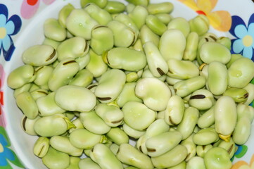 Semi di fave fresche di stagione sbucciate