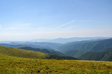 Rural area of carpathian mountains in summer. Wonderful scenery of Borzhava mountains, rolling hills near the spruce forest