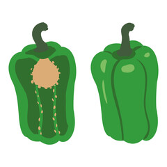 Bell Pepper green healthy organic nutrition product, whole, half cut. Vector cartoon flat trendy illustration hand drawn isolated