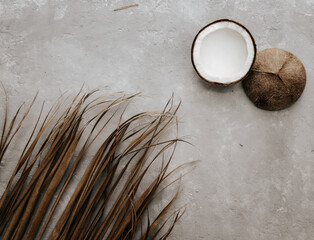 top view with dry tropical palm, and coconut. Still life Minimal tropical summer concept, bohemian, moody