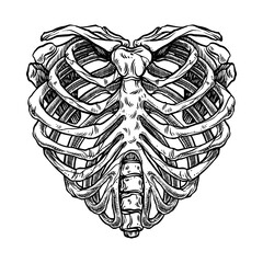 Skeleton heart shape - 433526193