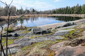 A small lake with rocky shores and surrounded by forest