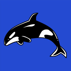 The killer whale or orca (Orcinus orca) is a toothed whale belonging to the oceanic dolphin family © garvaswashburn