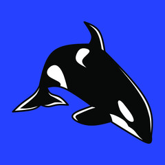The killer whale or orca (Orcinus orca) is a toothed whale belonging to the oceanic dolphin family