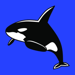 The killer whale or orca (Orcinus orca) is a toothed whale belonging to the oceanic dolphin family