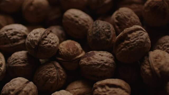 Close up of walnuts crop. Texture of pile of nuts in shell.