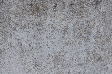 grayish cement background of a façade
