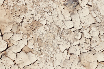 desert earth ground texture backdrop