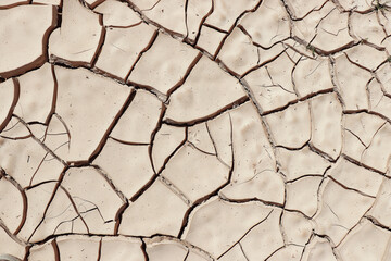 desert earth ground texture backdrop