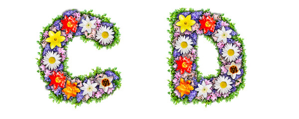 Letters C, D made in the form of a bouquet of flowers