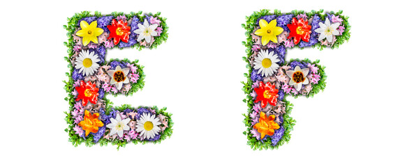 Letters E, F made in the form of a bouquet of flowers