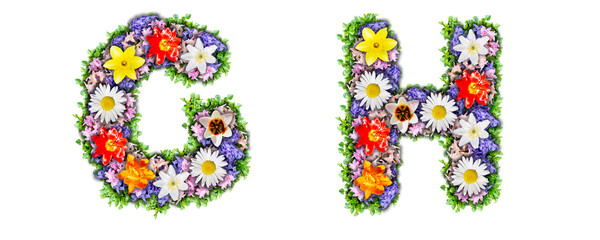 Letters G, H made in the form of a bouquet of flowers
